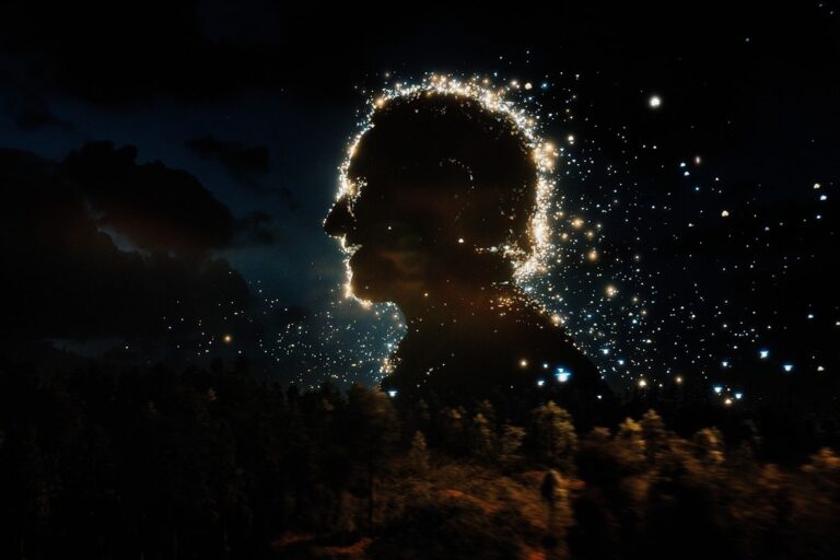 A human profile in silhouette picked out by glowing fireflies against a night sky above a dark forest, the key image from the Fireflies music video